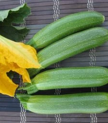 Насіння кабачка Мерлін (ІНХ 10554) F1, п.о. 100 насінин (Innova Seeds)