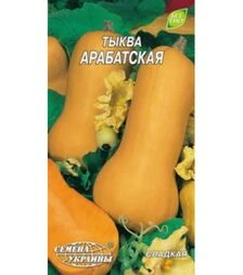 Насіння гарбуза Арабатський, 3 г (Насіння України)