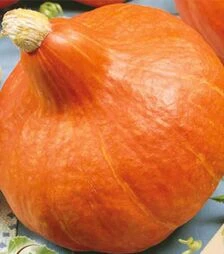 Насіння гарбуза Учікі Курі, 50 г (Leda Seeds)