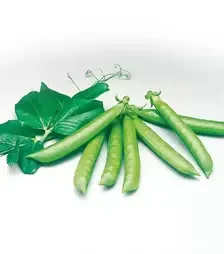 Насіння гороху Сомервуд, п.о. 100 тис. насінин (Syngenta)