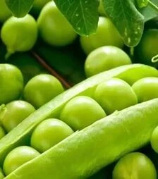 Семена гороха Кельведонское чудо, 25 кг (Коуэлл)