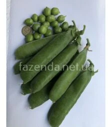 Семена гороха Вондер, п.о. 2,5 тыс. семян (Spark Seeds)