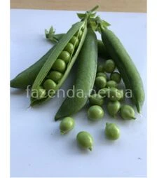 Семена гороха Кингсайз, п.о. 2,5 тыс. семян (Spark Seeds)