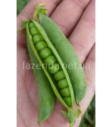 Семена гороха Мегасайз, п.о. 2,5 тыс. семян (Spark Seeds)