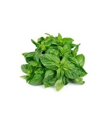 Семена базилика Мистер Барнс, 50 ​​г (Moravo Seed)
