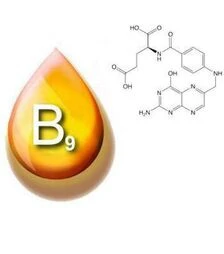 Витамин В9, Вс, фолиевая кислота, 1 кг
