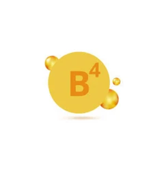 Вітамін В4 холін хлорид 70%, 1 кг