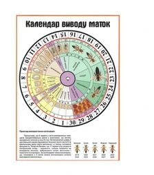 Календарь вывода маток (KM0003RU)