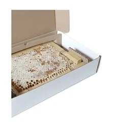 Коробка для сотового меда Магазинная, 470х145 мм (KO145VT)