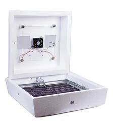 Інкубатор автоматичний Квочка 120/72 (220 В; 12 В)