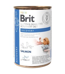 Лікувальний вологий корм для собак Brit VetDiets GF Recovery для відновлення після хвороби або операції, з лососем, 400 г