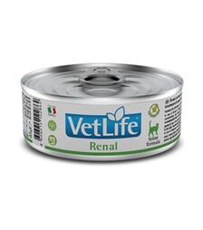 Лечебный влажный корм для кошек Farmina Vet Life Renal для поддержания функции почек, 85 г
