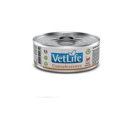 Лікувальний вологий корм для котів Farmina Vet Life Convalescence для відновлення живлення та одужання, 85 г