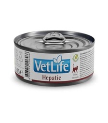 Лікувальний вологий корм для котів Farmina Vet Life при хронічній печінковій недостатності, 85 г