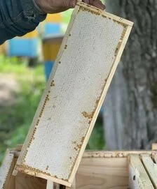 Мед акацієвий в стільниках Свій мед 2 кг рамка