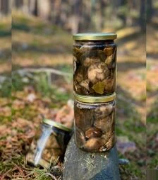 Маринованные подосиновики Полисянка, 520 мл