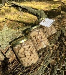 Маринованные маслята Полисянка ЭКСТРА без пленки, 520 мл