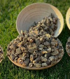 Сушена зморшкова шапинка Полісянка, 50 г