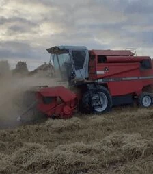 Зернозбиральний комбайн Massey Ferguson 22, 1994 р.в, 1139 м/год, б/в