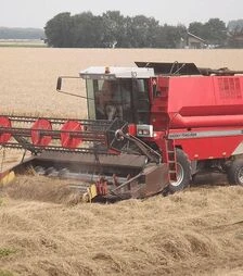 Зернозбиральний комбайн Massey Ferguson 34, 1990 р.в, 3235 м/год, б/в