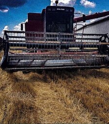 Зернозбиральний комбайн Case IH 1640, 1992 р.в, 6300 м/год, б/в