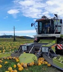 Зернозбиральний комбайн Claas Lexion 450, 2002 р.в, 1210 м/год, б/в