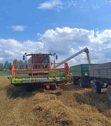 Зернозбиральний комбайн Claas Avero 240, 2017 р.в, 500 м/год, б/в