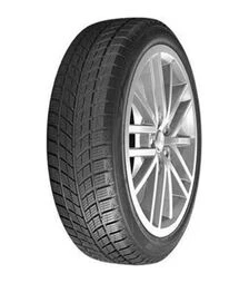 Шина Doublestar WINTERKING DW09 275/40 R20 106V XL TL (dr191)
