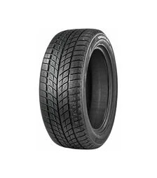 Шина Doublestar 235/55R20 102H WINTERKING DW09 TL