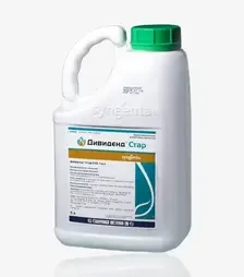 Протравитель Дивиденд Стар 036, 5 л (Syngenta)