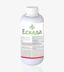 Фунгіцид Ескада 488, 1 л (TerraVita)