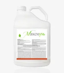 Прилипач Максиум, 20 л (TerraVita)