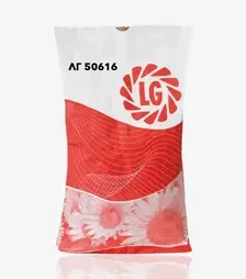 Соняшник ЛГ50616, п.о. 150 тис. насінин (LG)
