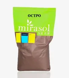 Кукурудза Ostro FAO 290 (Остро), п.о. 80 тис. насінин (Mirasol Seed)