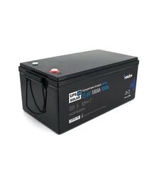 Акумуляторна батарея Merlion LiFePo4 LFP25,6-100US, 25,6 В, 100 А*год (LFP25.6-100US)
