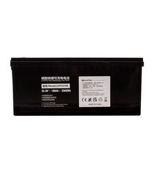 Акумуляторна батарея PowerPlant LiFePO4, 24 В, 100 А*год (LFP24100)