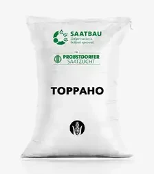 Кукуруза Торрано, п.е. 80 тыс. семян (Saatbau)