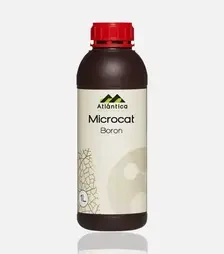Стимулятор росту Мікрокат Бор (В), 1 л (Atlantica Agricola)