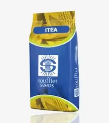 Кукуруза Итеа, п.е. 50 тыс. семян (Soufflet Seeds)
