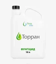 Фунгіцид Торран 500/Торрінто 500, 10 л (TerraVita)