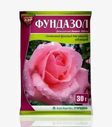 Протруйник Фундазол, 30 г (Сектор ЗЗР)