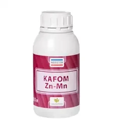 Мікродобриво Кафом Zn-Mn, 0,5 л (Meristem)
