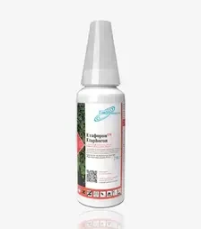 Гербіцид Етафорон, 250 г (Хімагромаркетинг)