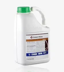 Протравитель Селест Макс 165 Fs, 5 л (Syngenta)