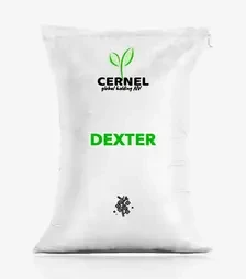 Ріпак озимий Dexter (Декстер), п.о. 1 500 тис. насінин (Cernel Global Holding NV)