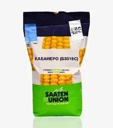 Кукурудза Кабанеро (Б3316С), п.о. 50 тис. насінин (Lembke)