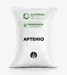 Кукурудза Артеніо, п.о. 80 тис. насінин (Saatbau)