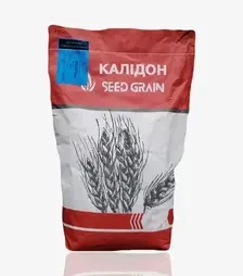 Пшеница озимая Калидон, т (Seed Grain)