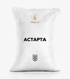 Озимая пшеница Астарта, т (Biligrain)