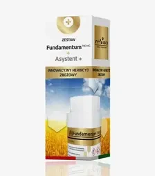 Гербіцид Фундаментум + Асистент Пар, 5 л (Innvigo)
